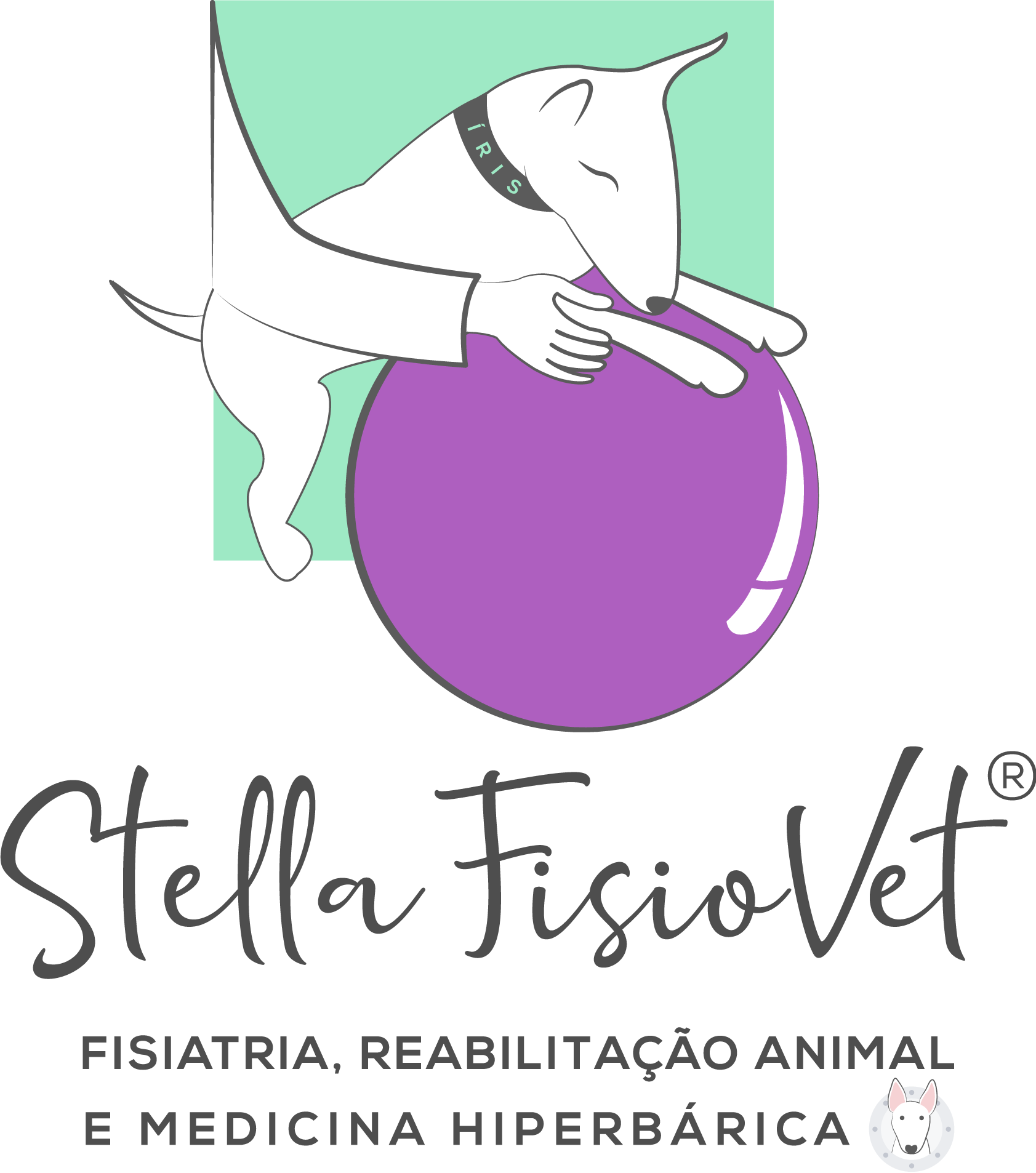 Stella FisioVet